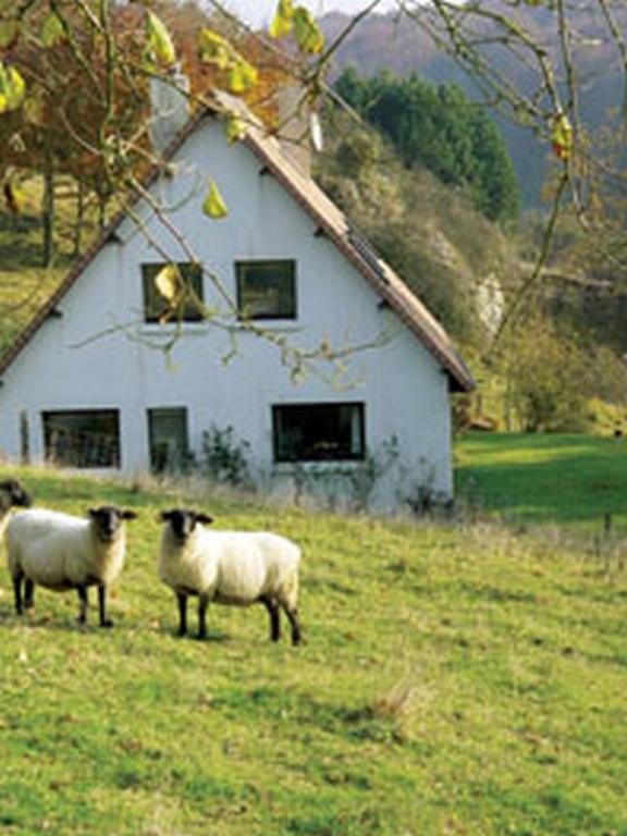 Chambre D'Hotes Les Champarts Tourville-la-Chapelle Εξωτερικό φωτογραφία