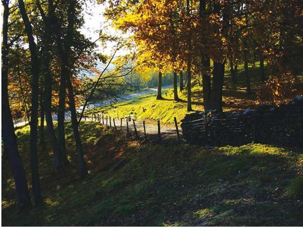 Chambre D'Hotes Les Champarts Tourville-la-Chapelle Εξωτερικό φωτογραφία